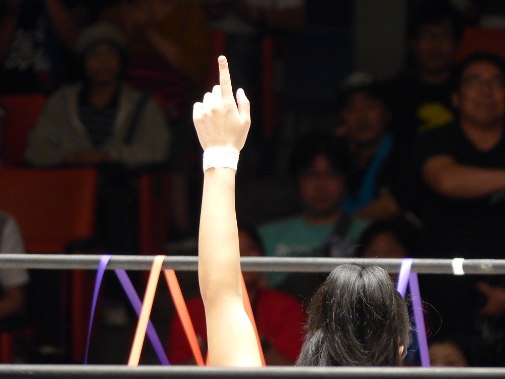 ＷＡＶＥ今はタッグトーナメントでしょう