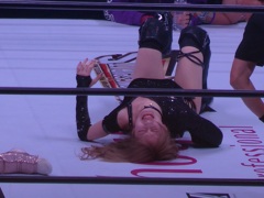 猪木のイタリア遠征は1988年