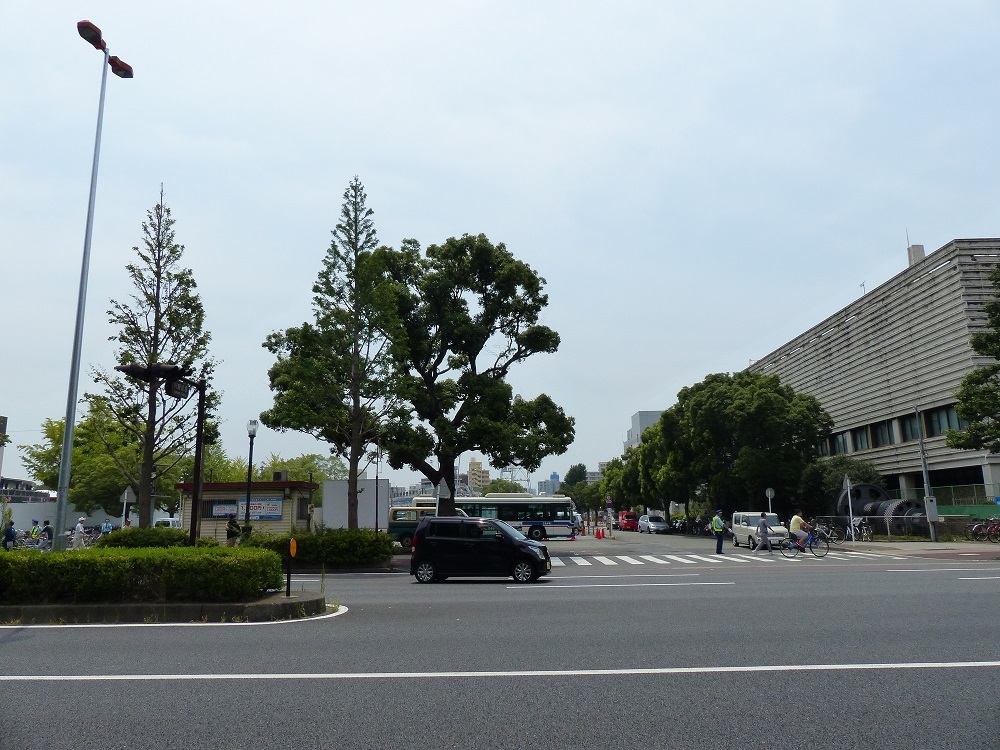 これはたぶんカルッツかわさきの前