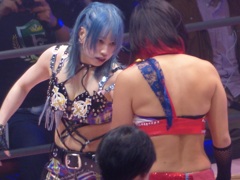 1６戦で8人が優勝