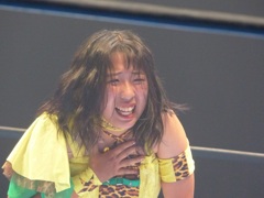 当時のヘビー級は