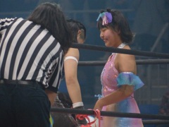 野上ｖｓ佐々木健介