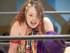 国会で猪木議員が質問した時