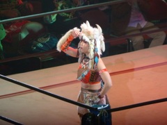 ナンバープラス、オシムの遺言発売中