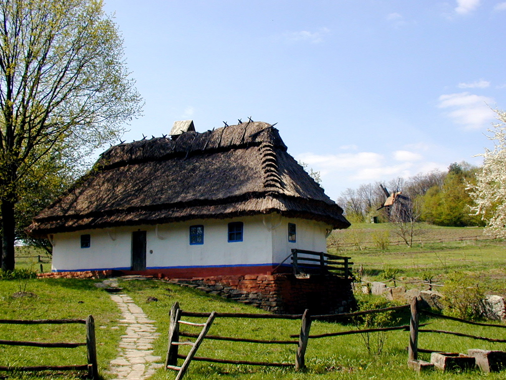 Ukrainian landscape