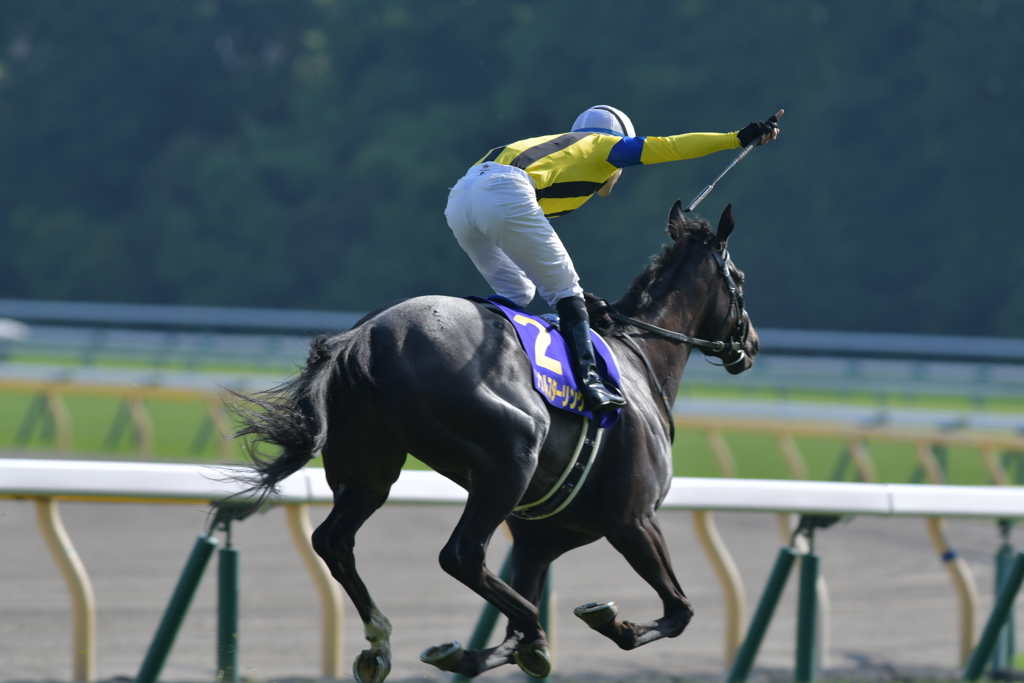 オークス'17_ソウルスターリング