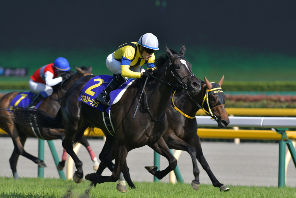 オークス'17_ソウルスターリング