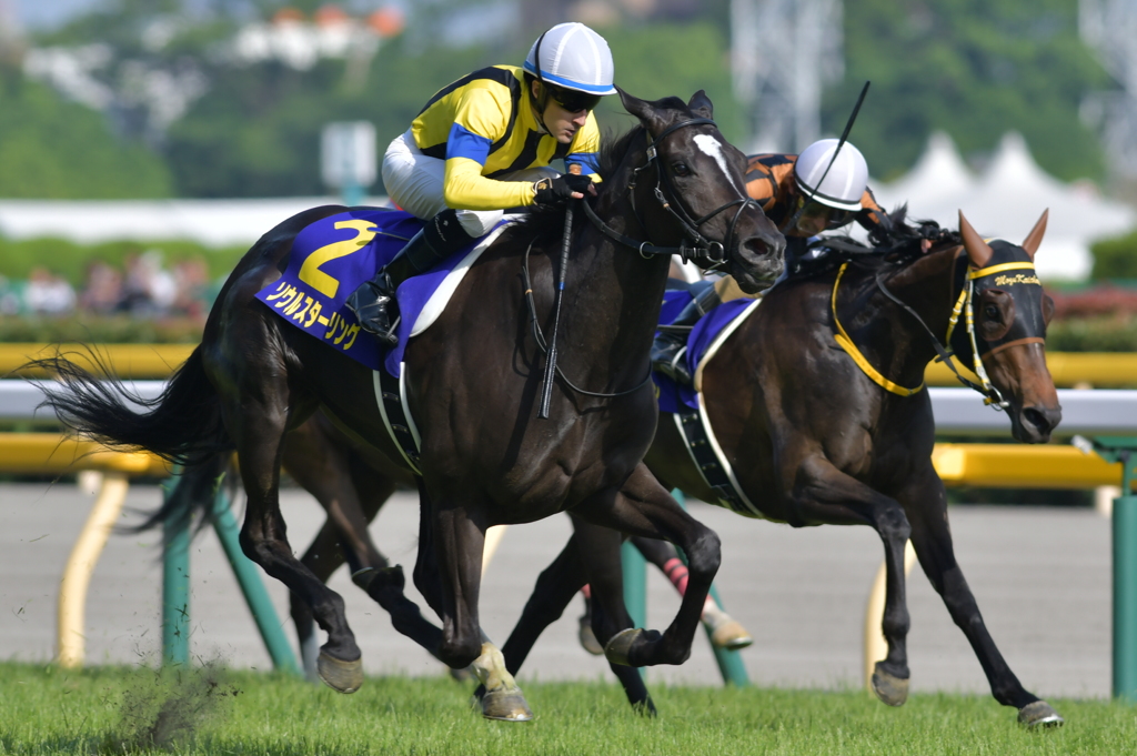 オークス'17_ソウルスターリング