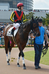 新馬戦 コロナシオン