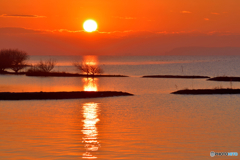 あけましておめでとうございます