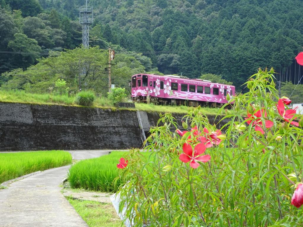 錦川清流線～北河内駅付近