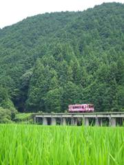 錦川清流線～北河内駅付近