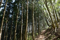 大岳山登山