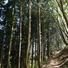 大岳山登山