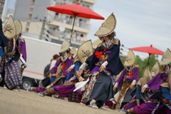 KOBE ALIVE 2016