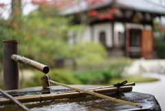 京都