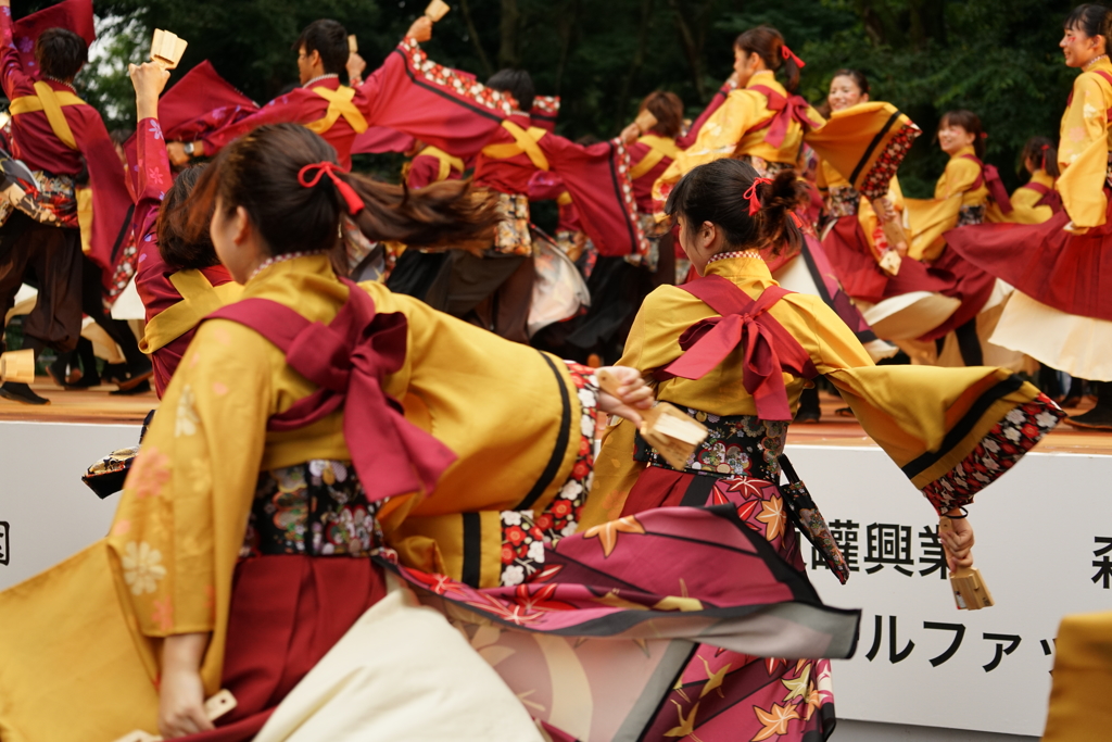 原宿表参道元氣祭 スーパーよさこい 2016