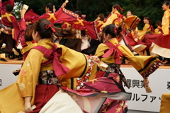 原宿表参道元氣祭 スーパーよさこい 2016