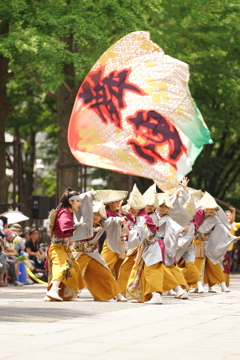 第11回よさこい祭りin光が丘公園