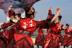 第1回横浜よさこい祭り〜良い世さ来い