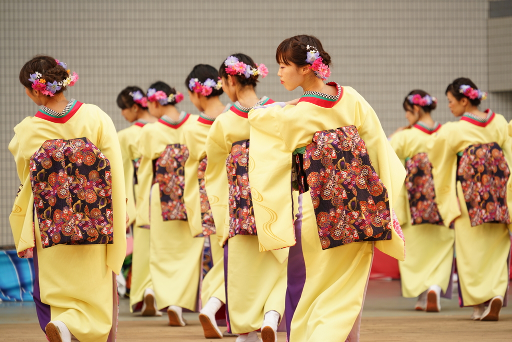 原宿表参道元氣祭 スーパーよさこい 2016