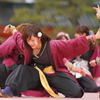 第十三回 京都さくらよさこい