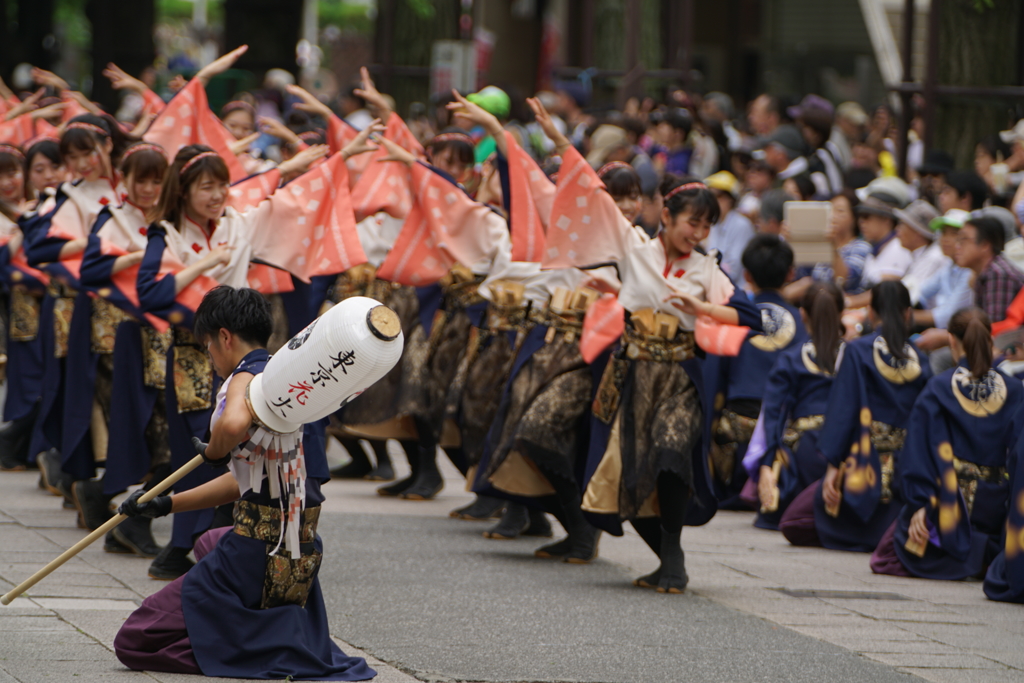 第11回よさこい祭りin光が丘公園