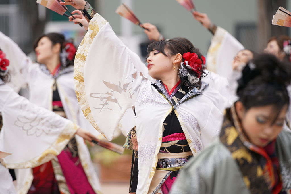 第17回 浜松がんこ祭