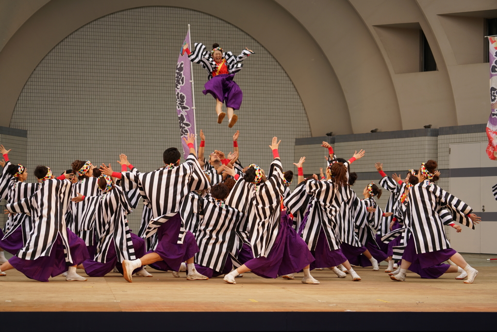 原宿表参道元氣祭 スーパーよさこい 2016