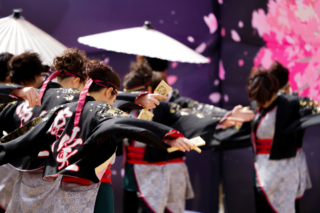 第18回 浜松がんこ祭