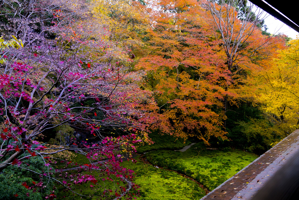 京都