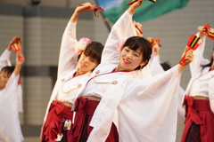 原宿表参道元氣祭 スーパーよさこい 2016