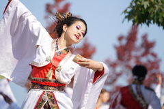 ドリーム夜さ来い祭り