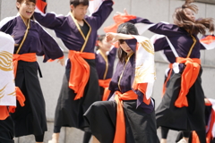 ハマこい2016