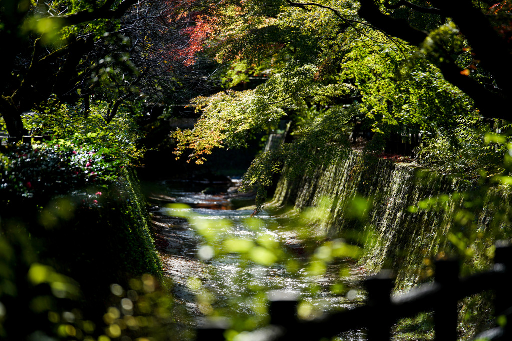 京都