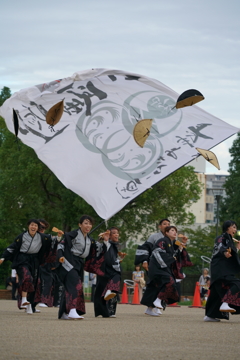 KOBE ALIVE 2016