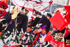 第18回 浜松がんこ祭