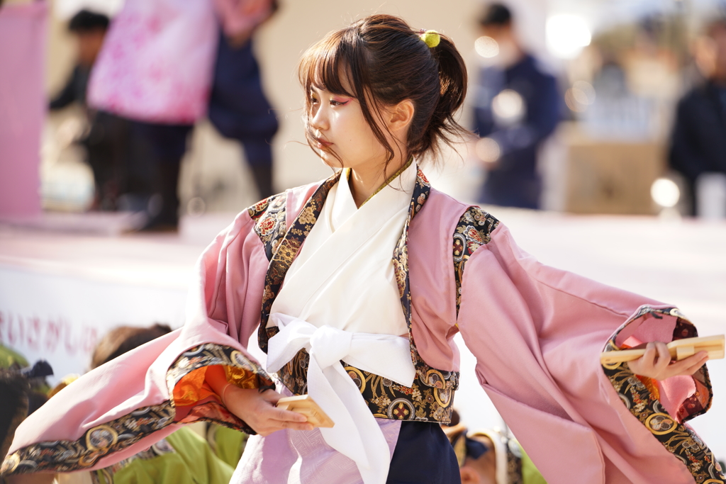 第十三回 京都さくらよさこい