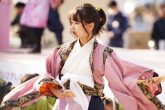 第十三回 京都さくらよさこい