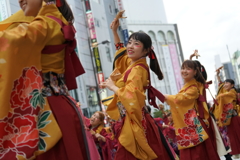 第17回 東京よさこい