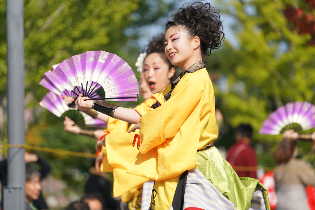 ドリーム夜さ来い祭り