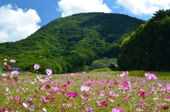  涼しい。