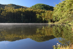 朝　近所の池