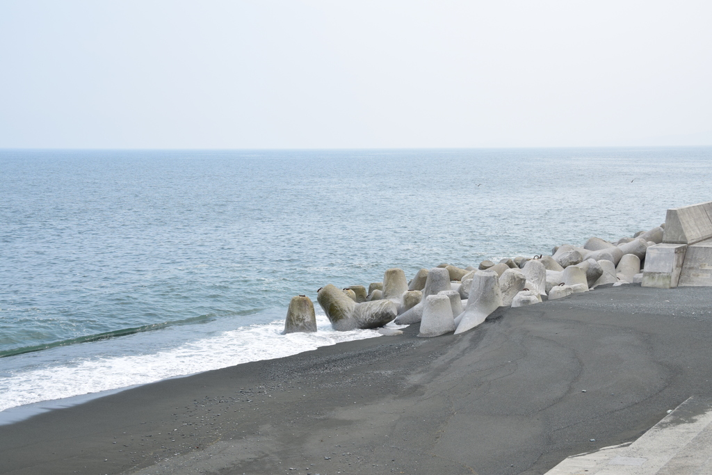 相模湾