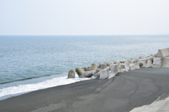 相模湾