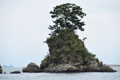 雨晴海岸_02