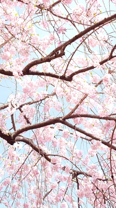 20180401_142339