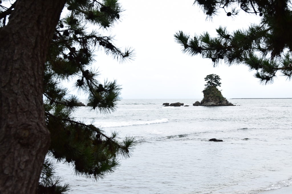 雨晴海岸_03