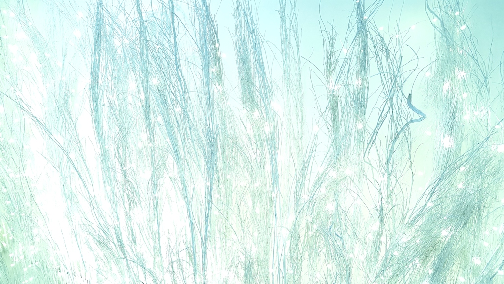 赤坂_02