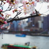 停泊中。